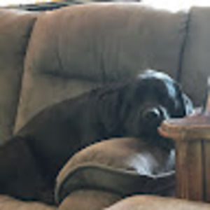 Meet your Posher, Luther22lec